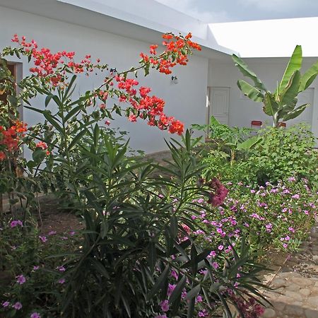 Villa Sao Jose Pedra Badejo  Eksteriør bilde
