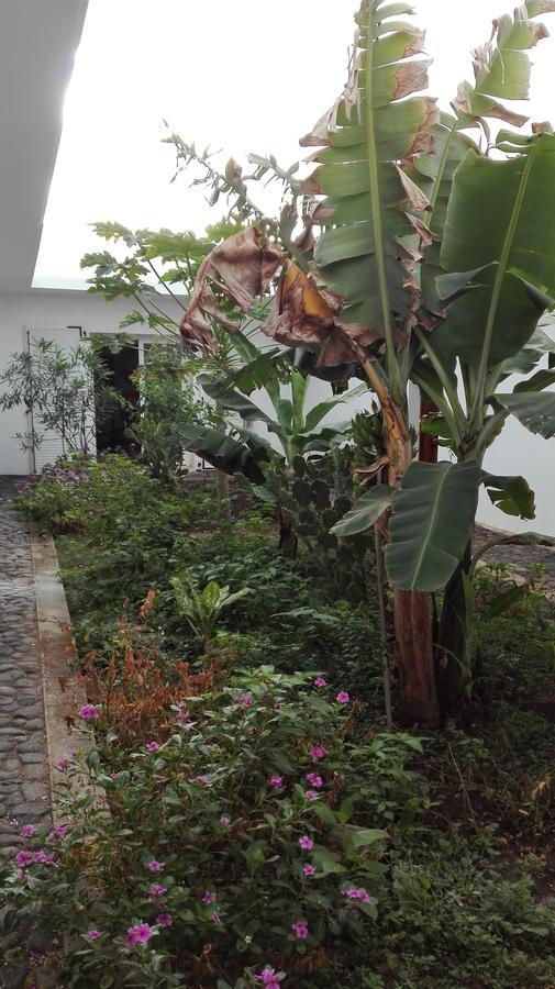 Villa Sao Jose Pedra Badejo  Eksteriør bilde